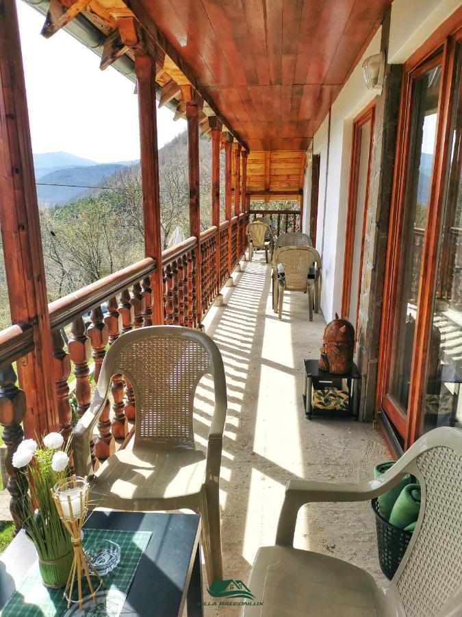 Villa Balconlux - Zavojsko Jezero, Pirot Bagian luar foto