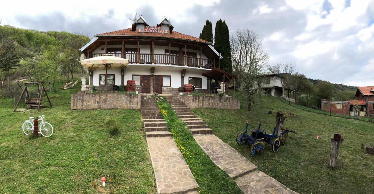 Villa Balconlux - Zavojsko Jezero, Pirot Bagian luar foto