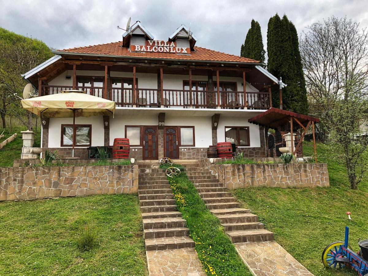 Villa Balconlux - Zavojsko Jezero, Pirot Bagian luar foto